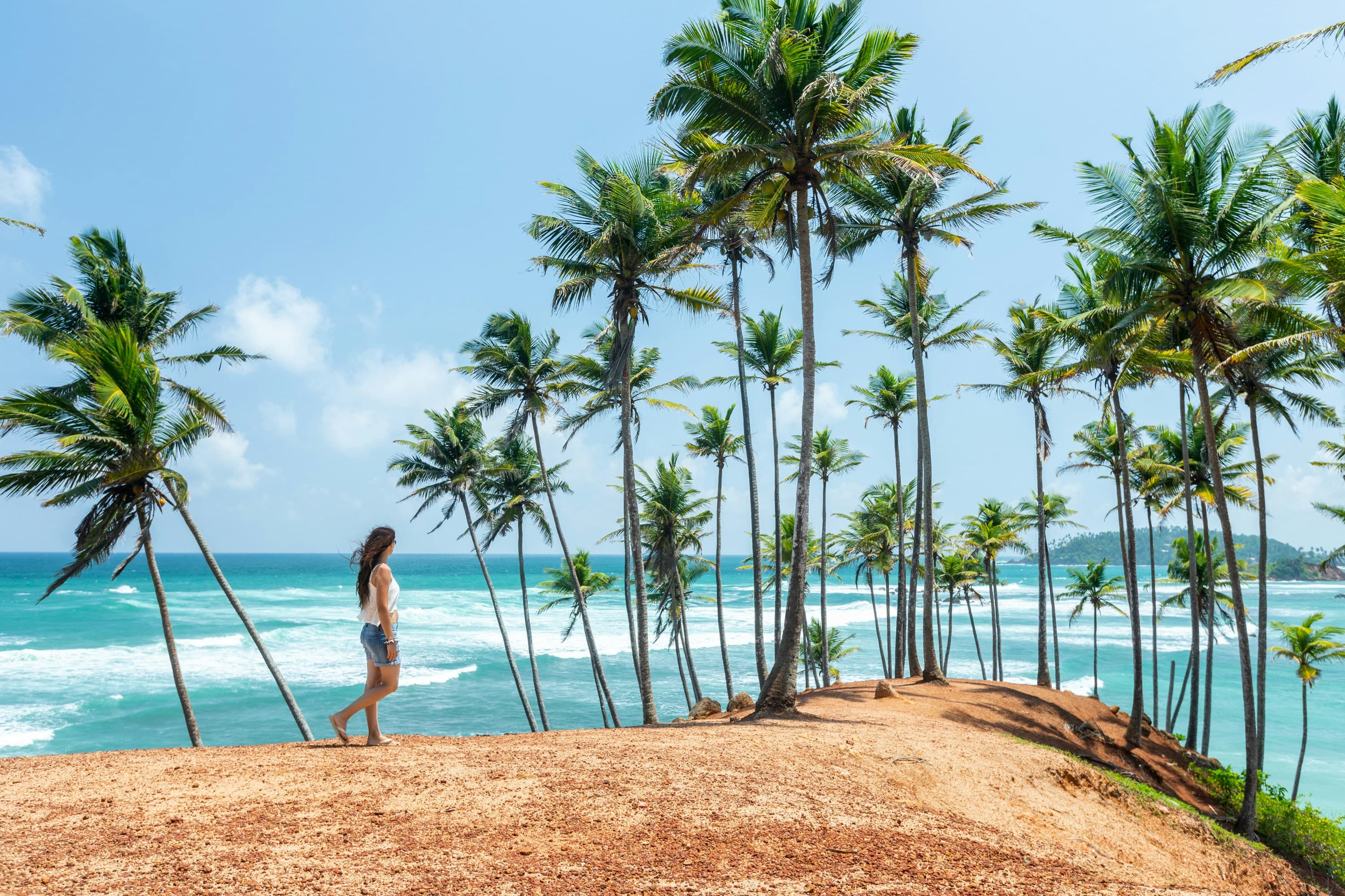 Tropical beach